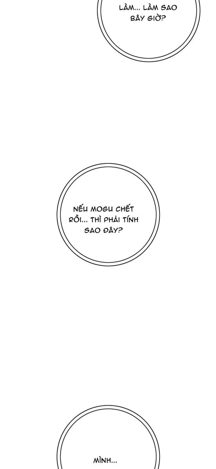 Anh Trai Tôi Là Hổ