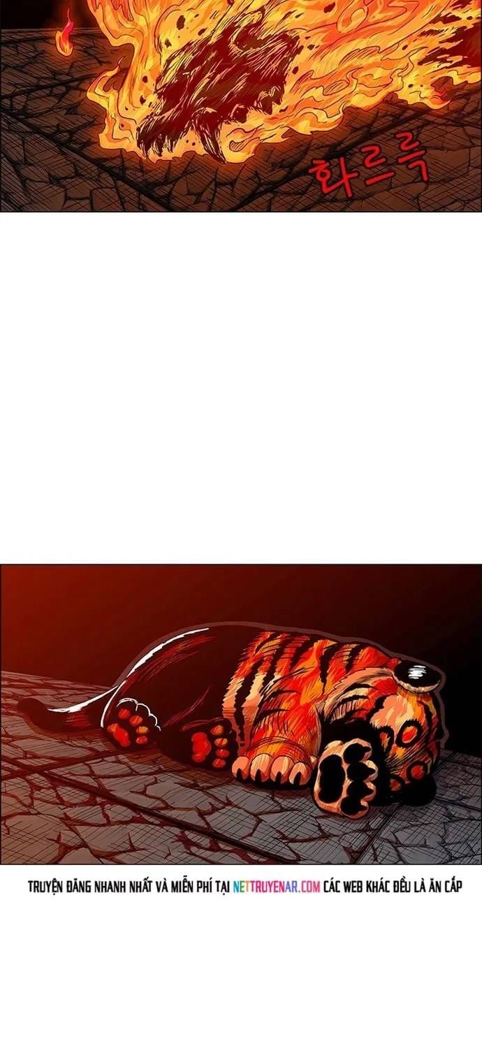 Anh Trai Tôi Là Hổ