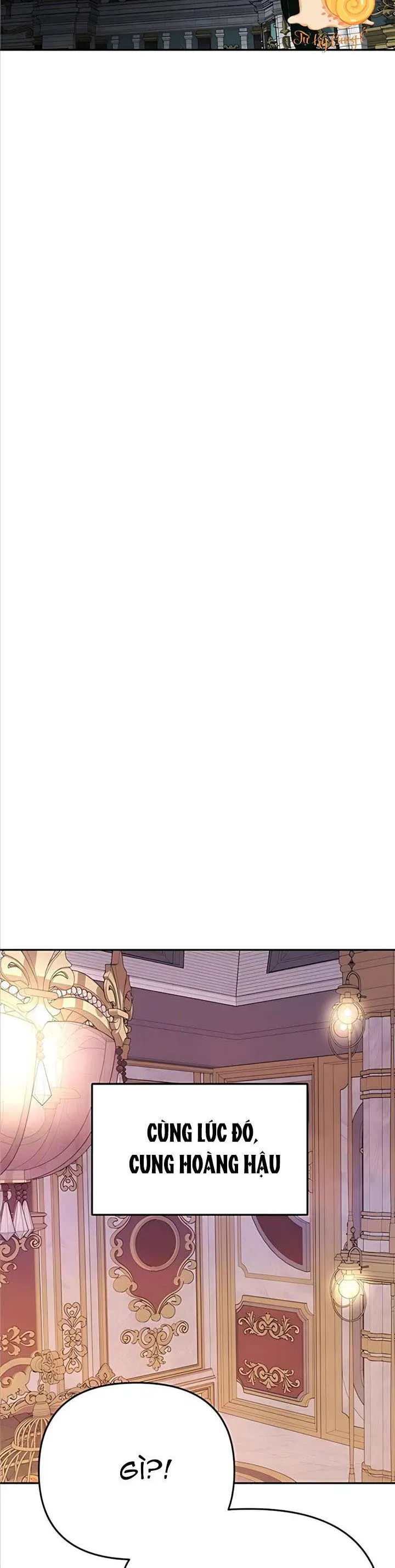 Chỉ Cần Một Người Chồng Là Đủ