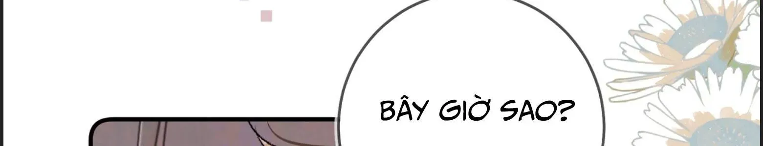 Tỏ Tình Chap 106 - Next Chap 105