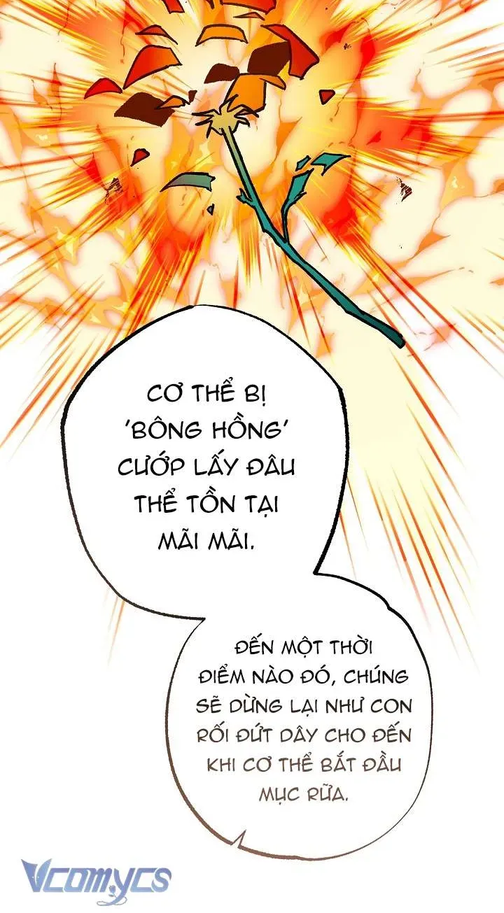 Chào Mừng Đến Với Dinh Thự Hoa Hồng