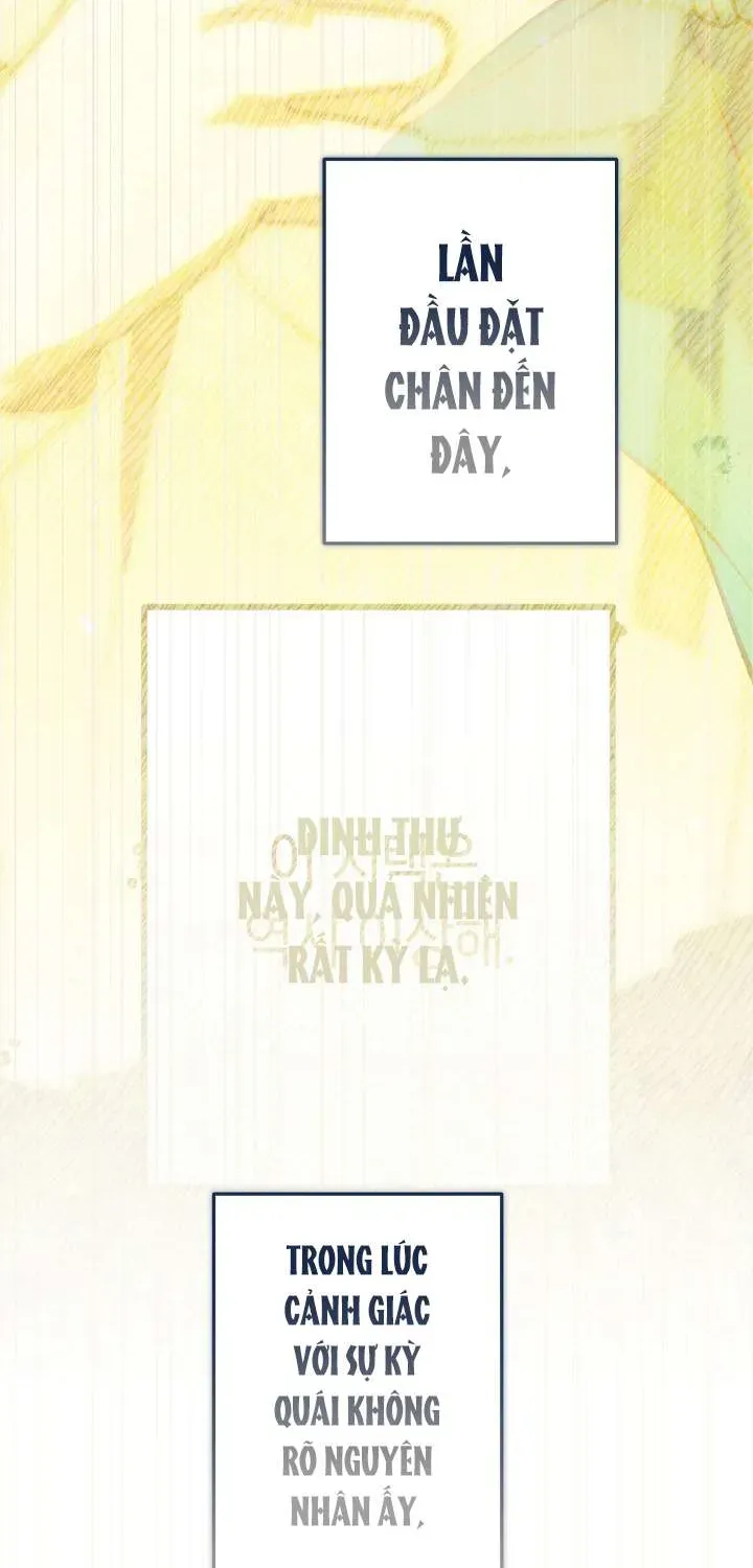 Chào Mừng Đến Với Dinh Thự Hoa Hồng