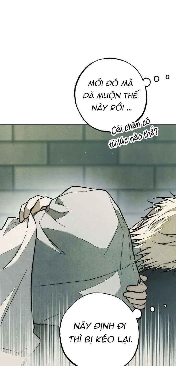 Chào Mừng Đến Với Dinh Thự Hoa Hồng