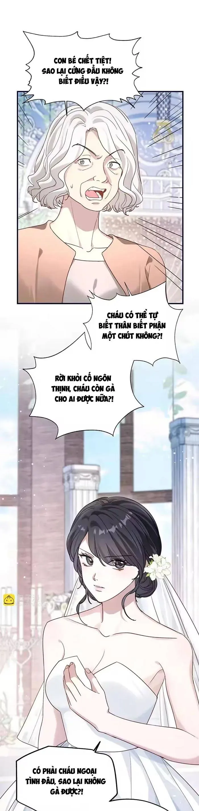 Gả Cho Kẻ Thù Của Người Cũ Sau Trùng Sinh Chap 27 - Next Chap 26