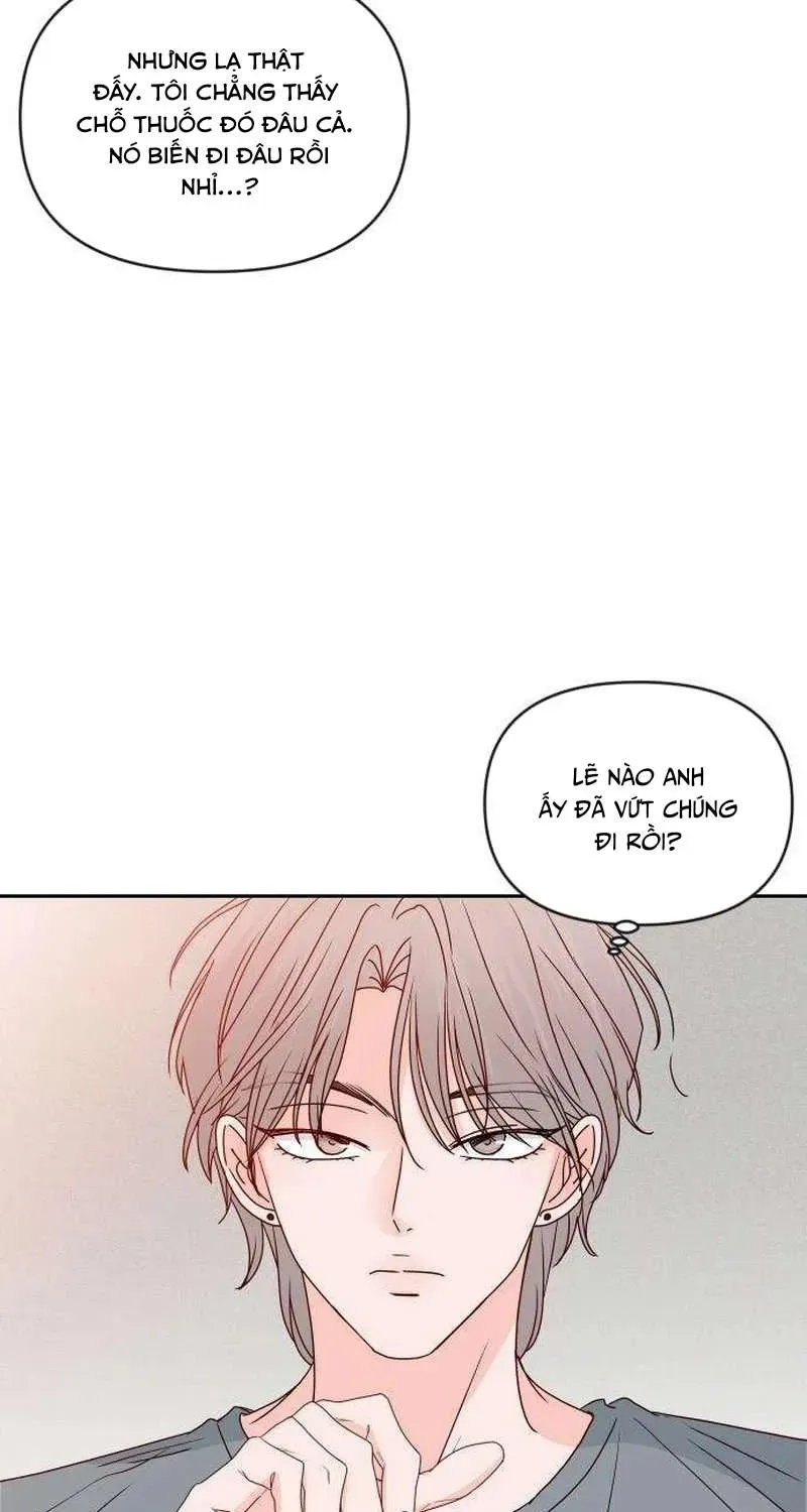 Quân Sư Tình Yêu Của Tôi Chap 17 - Next Chap 16