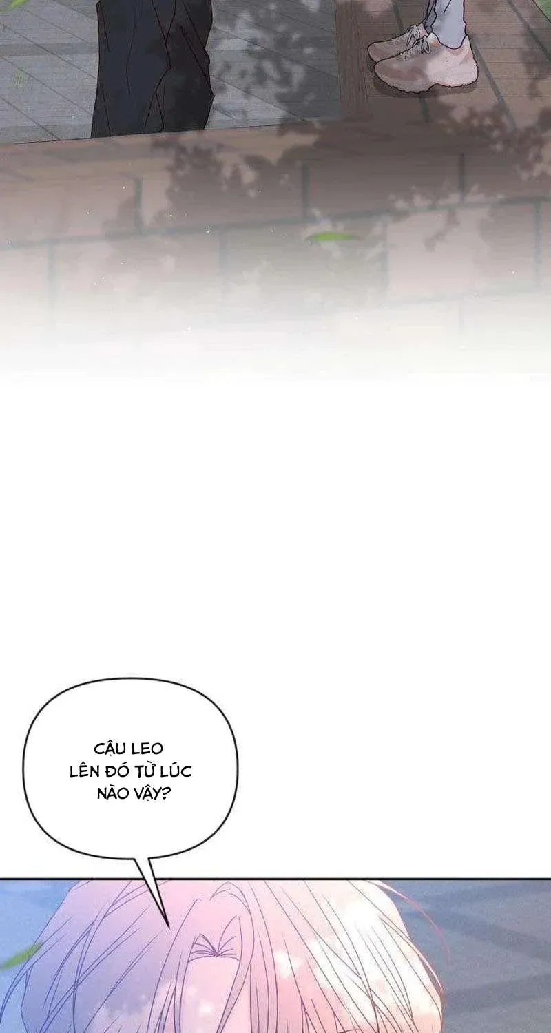 Quân Sư Tình Yêu Của Tôi Chap 17 - Next Chap 16