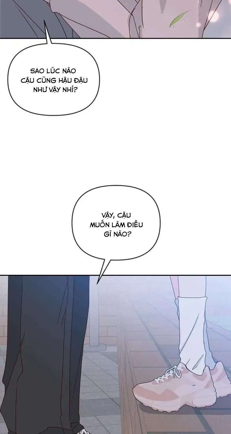 Quân Sư Tình Yêu Của Tôi Chap 17 - Next Chap 16