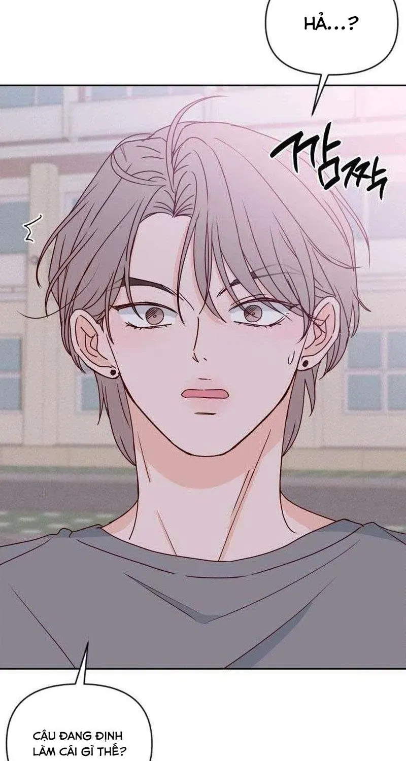 Quân Sư Tình Yêu Của Tôi Chap 17 - Next Chap 16