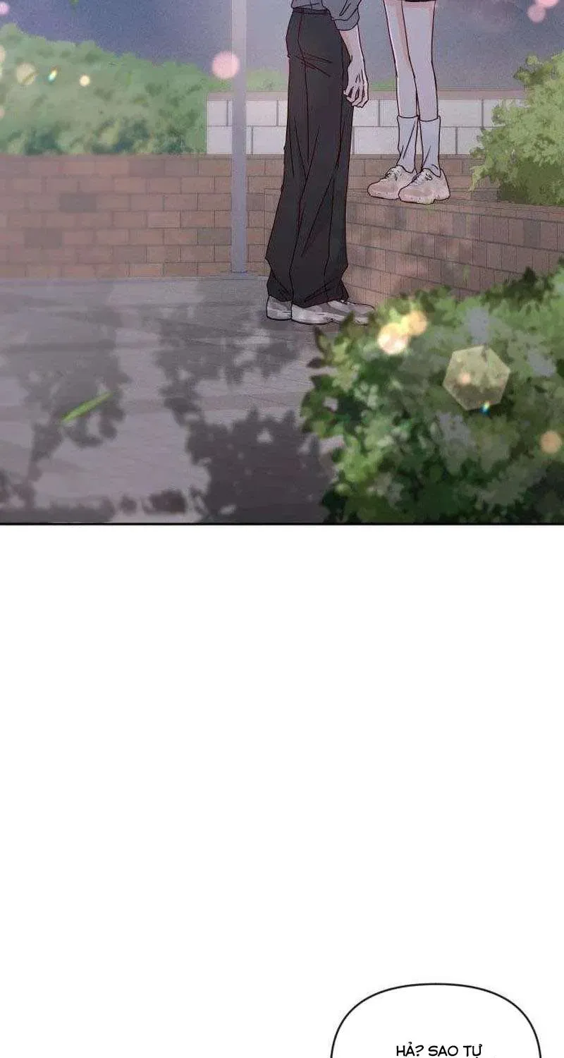 Quân Sư Tình Yêu Của Tôi Chap 18 - Next Chap 17