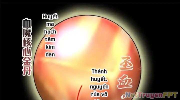 Tu Chân Nói Chuyện Phiếm Quần Chap 528 - Next Chap 527.5