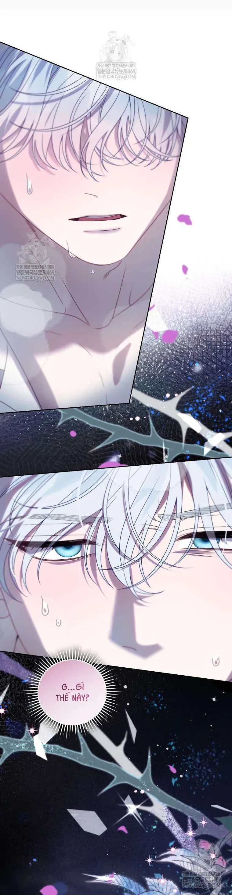 Kẻ Ám Ảnh Cuồng Tín Đang Cố Giam Cầm Tôi Chap 1