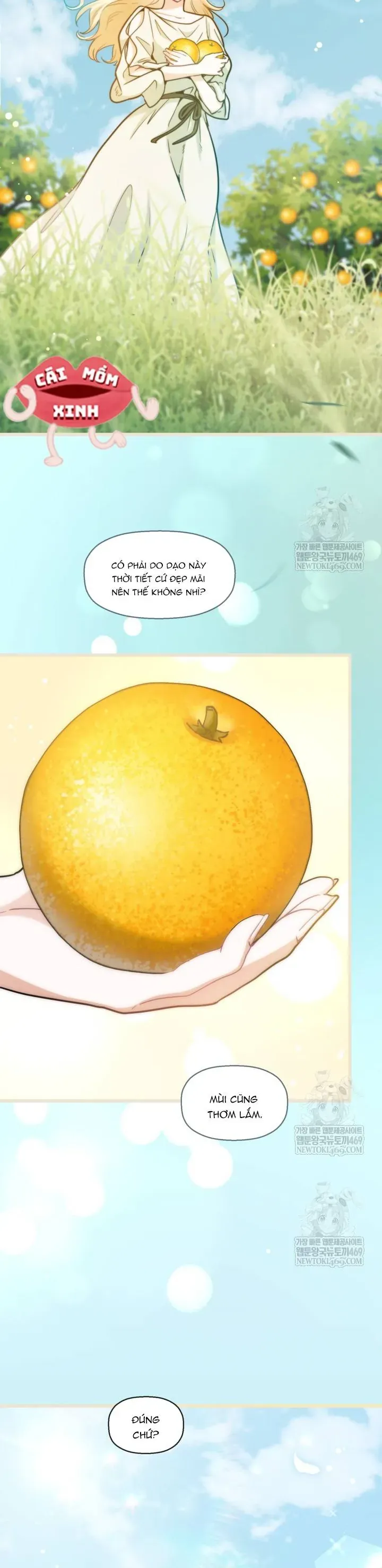 Bệ Hạ, Xin Hãy Quên Tôi Đi