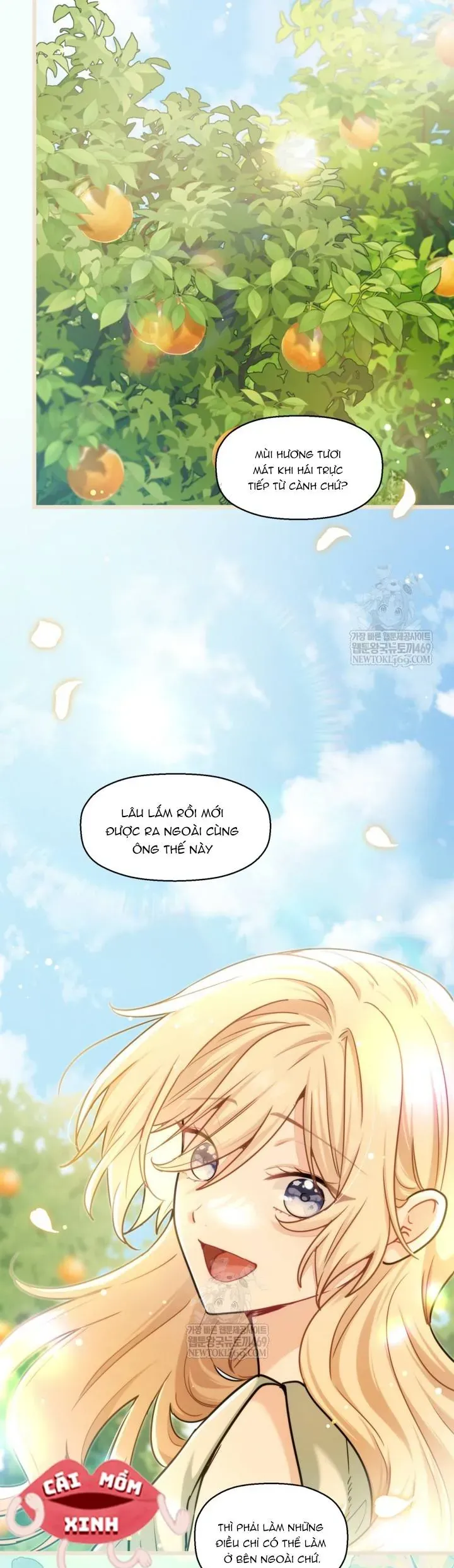 Bệ Hạ, Xin Hãy Quên Tôi Đi