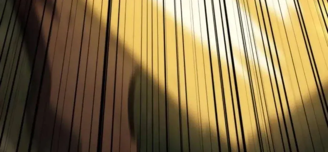 Chuyển Sinh Với Chức Nghiệp Mạnh Nhất Không Thể Phát Hiện : Kẻ Phá Vỡ Quy Luật Chap 24 - Next Chap 23