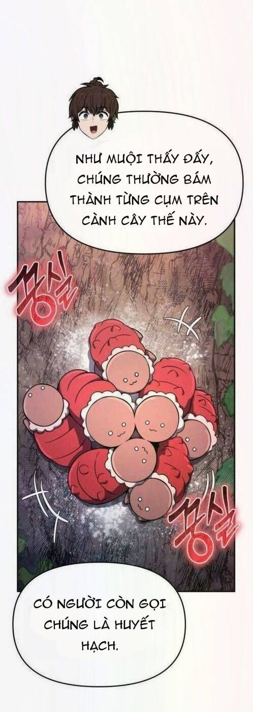 Chuyên Gia Côn Trùng Tại Đường Gia Tứ Xuyên