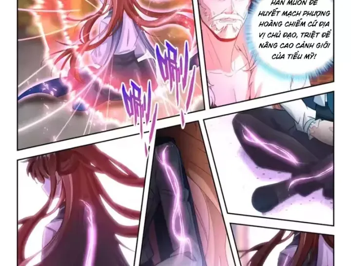 Đấu La Đại Lục 5