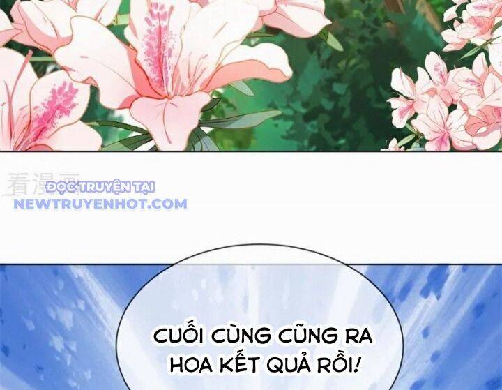 Chiến Hồn Tuyệt Thế