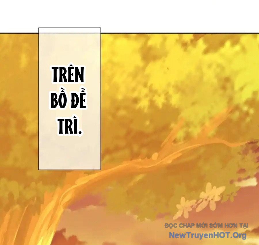 Chiến Hồn Tuyệt Thế