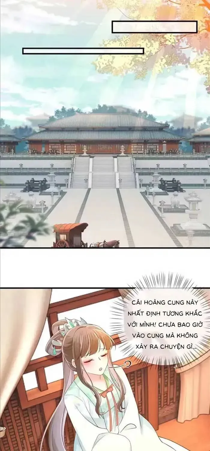 Thiên Kim Độc Phi Trọng Sinh Chap 63 - Next Chap 62