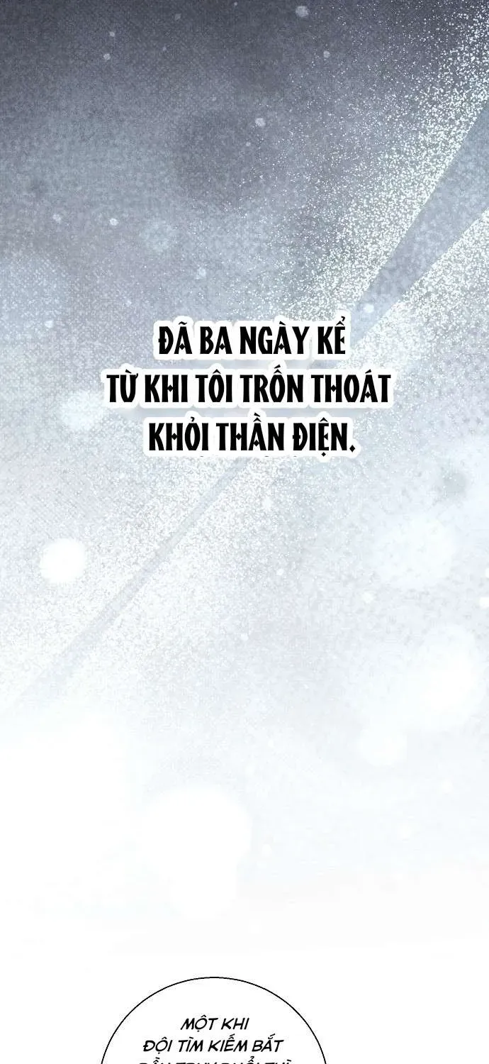 Đừng Tìm Kiếm Ác Nữ Đã Hồi Sinh Chương 2 - Trang 20