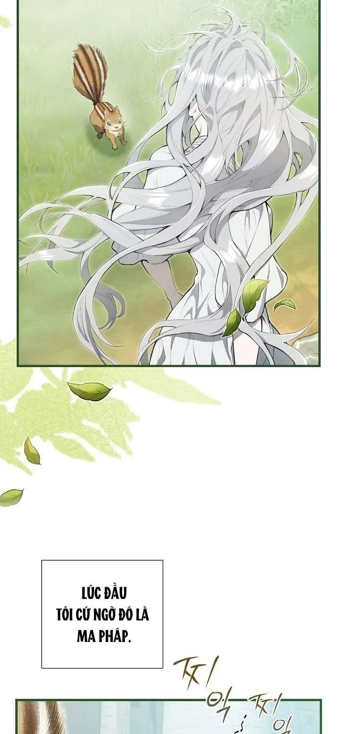 Đừng Tìm Kiếm Ác Nữ Đã Hồi Sinh Chương 2 - Trang 63