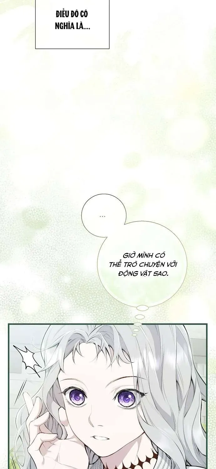 Đừng Tìm Kiếm Ác Nữ Đã Hồi Sinh Chương 2 - Trang 66