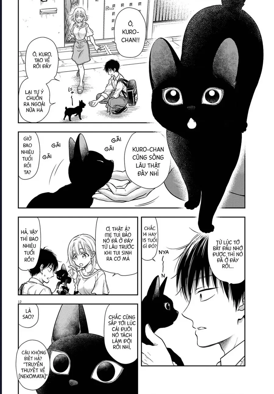 Ta Rủa 7 Đời Nhà Cậu Đấy, Hãy Mau Kết Hôn Đi Chap 1