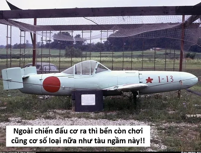 Ngay Cả Khi Hậu Tận Thế, Thật Hạnh Phúc Khi Vẫn Còn Được Sống... (Puchimasu Miếu) Chap 52.1 - Next Chap 51.1