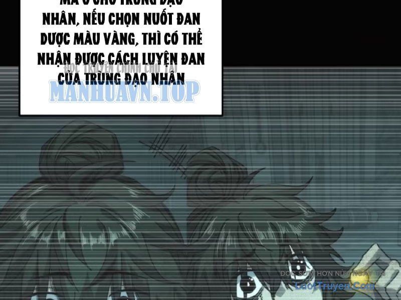 Ta Mô Phỏng Con Đường Trường Sinh Chap 46 - Next Chap 45