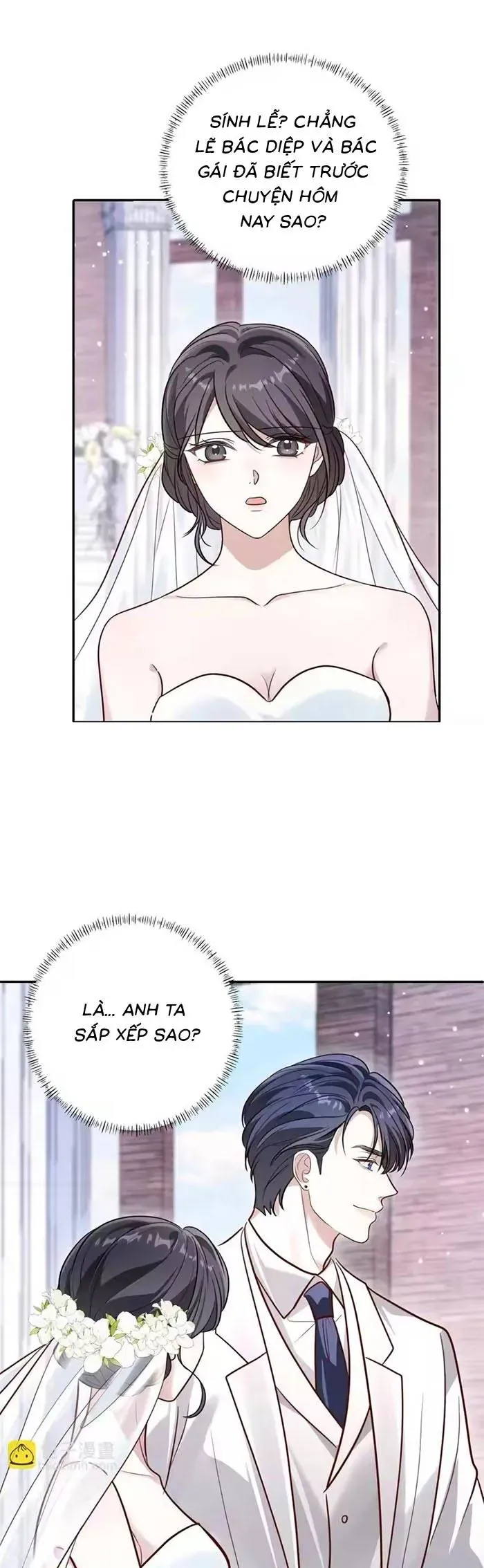 Gả Cho Kẻ Thù Của Người Cũ Sau Trùng Sinh Chap 29 - Next Chap 28