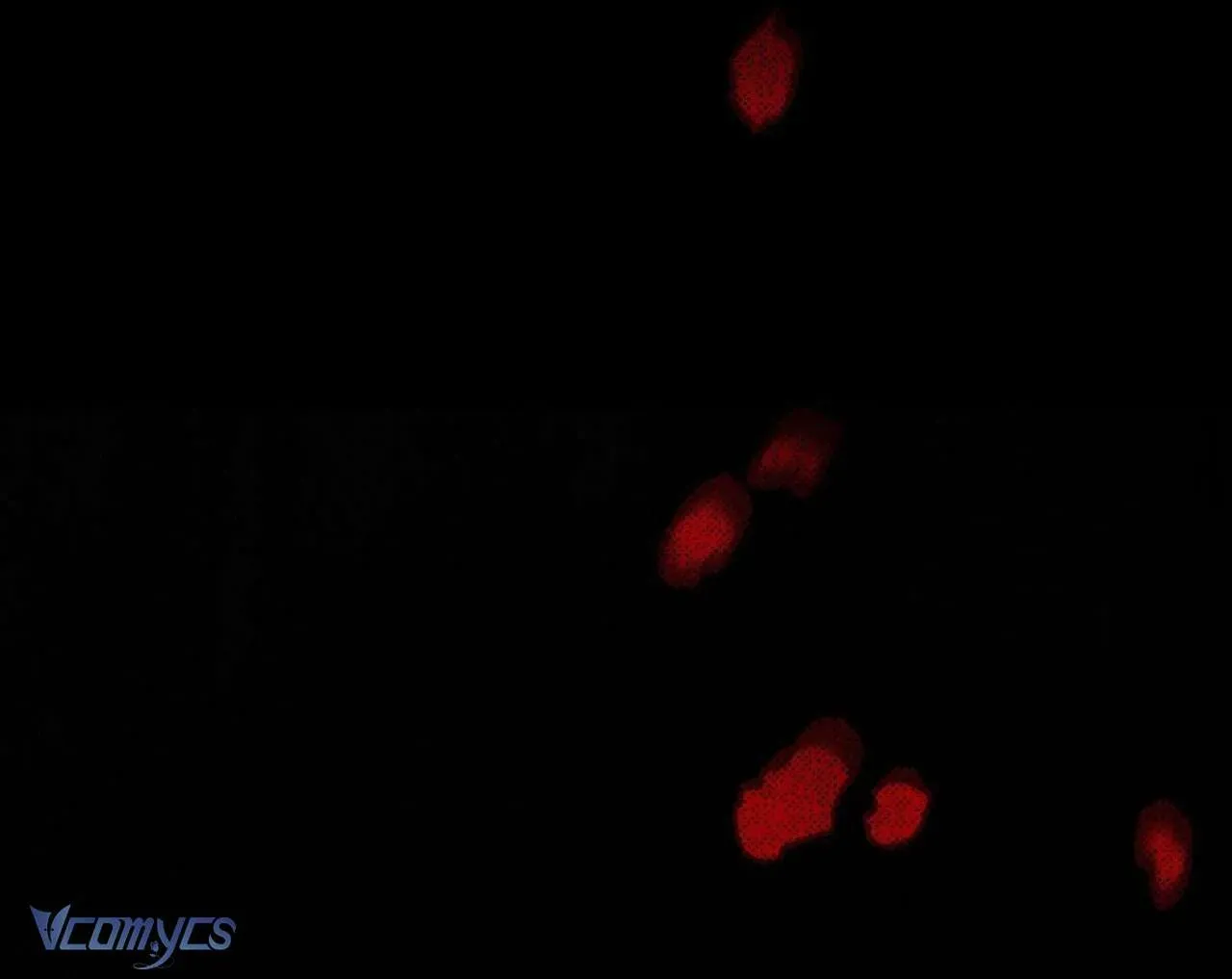 xuyen-vao-tieu-thuyet-toi-tro-thanh-truyen-thuyet-kinh-di-173