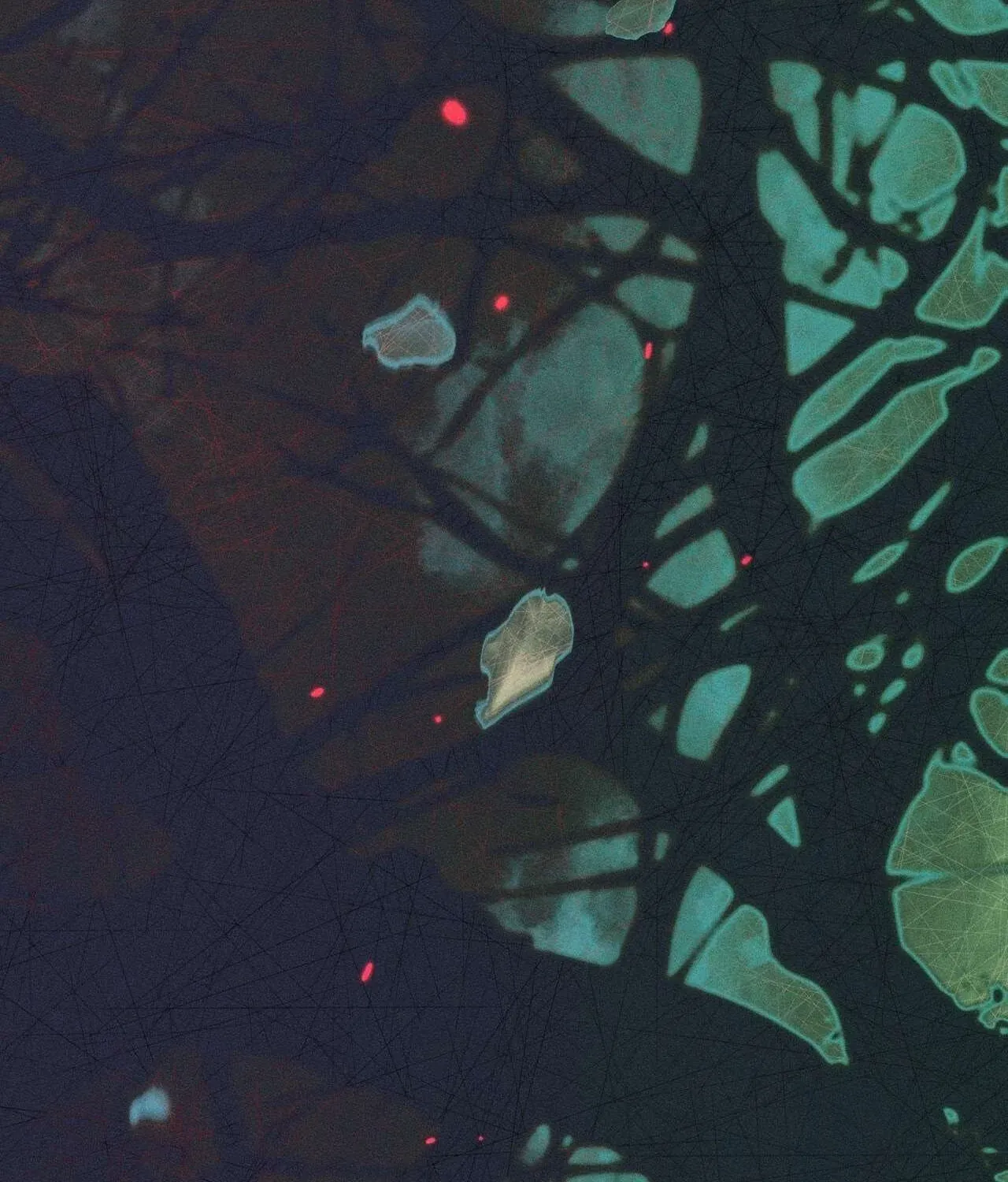 xuyen-vao-tieu-thuyet-toi-tro-thanh-truyen-thuyet-kinh-di-180