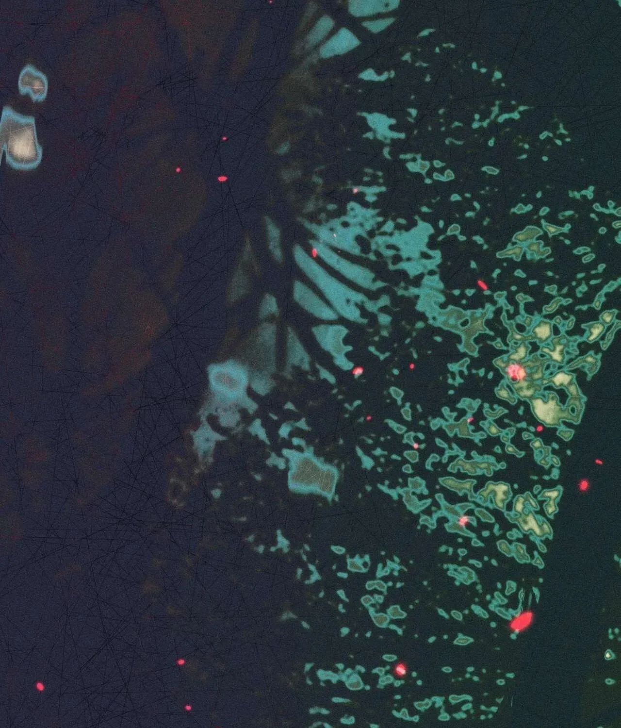 xuyen-vao-tieu-thuyet-toi-tro-thanh-truyen-thuyet-kinh-di-181