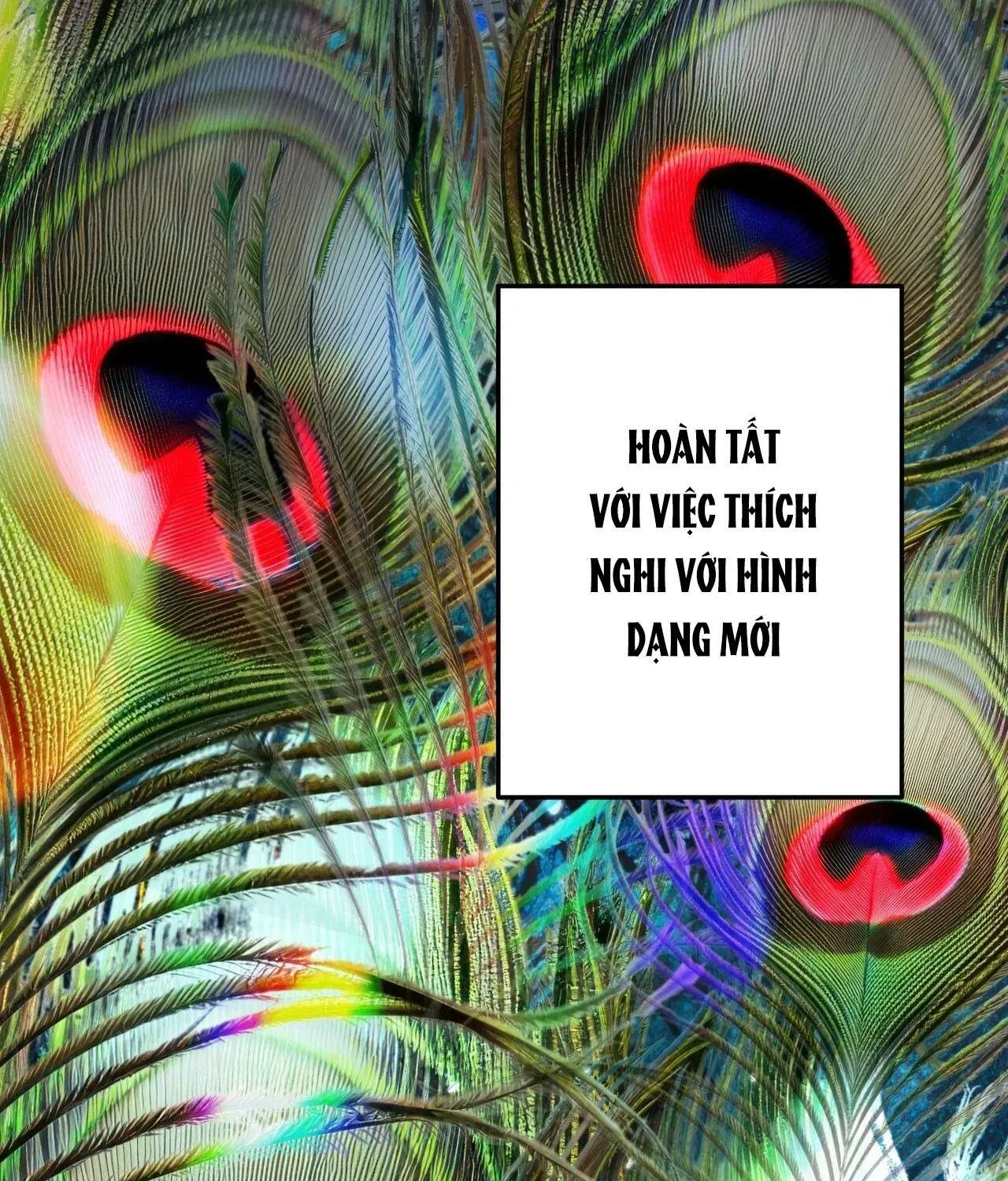 xuyen-vao-tieu-thuyet-toi-tro-thanh-truyen-thuyet-kinh-di-311