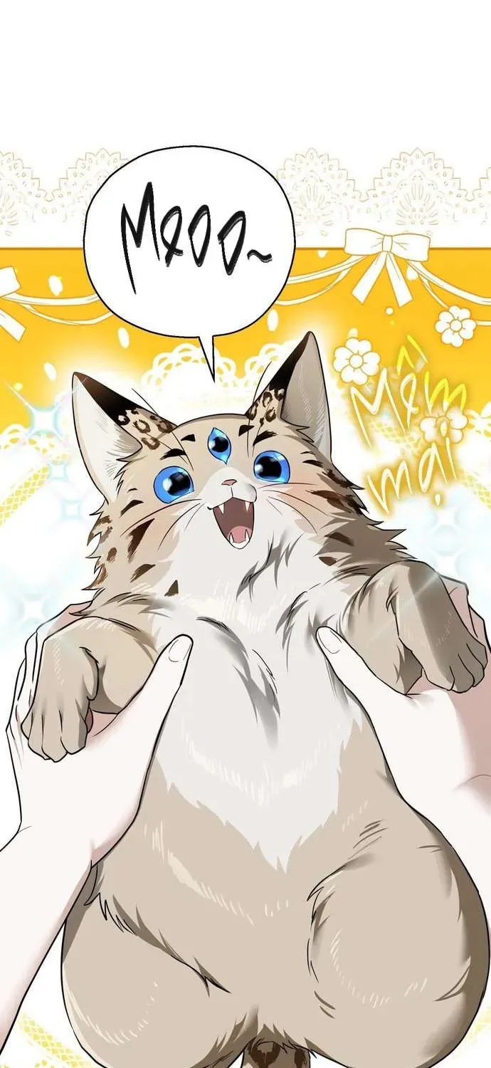 xuyen-vao-tieu-thuyet-toi-tro-thanh-truyen-thuyet-kinh-di-6