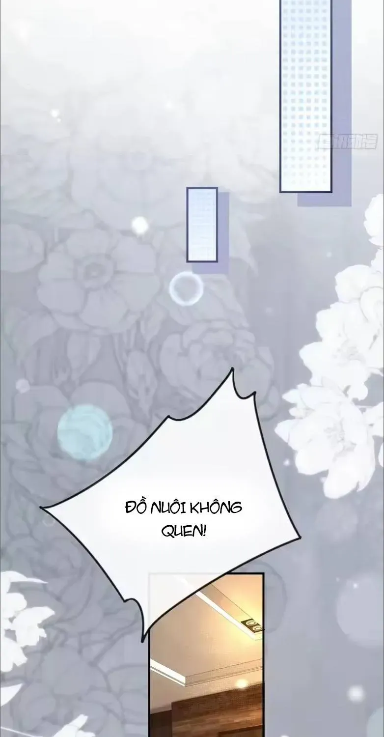 Rung Động Đã Được Định Sẵn Chap 4 - Next Chap 3