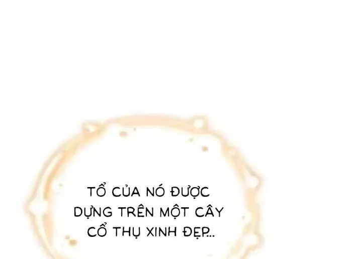 Tôi Trở Thành Hôn Thê Của Đại Công Tước Mù Chap 11 - Next Chap 10