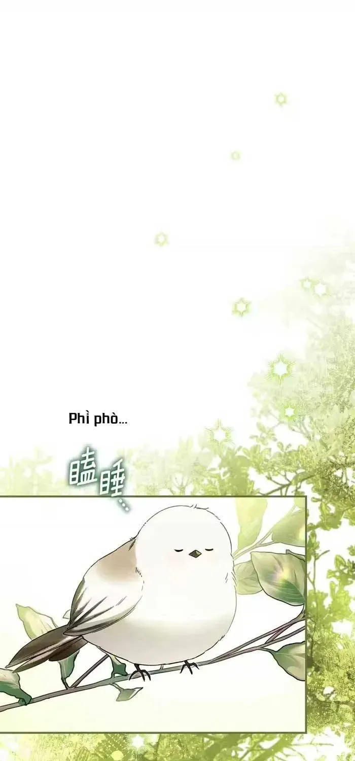 Tôi Trở Thành Hôn Thê Của Đại Công Tước Mù Chap 8 - Next Chap 7