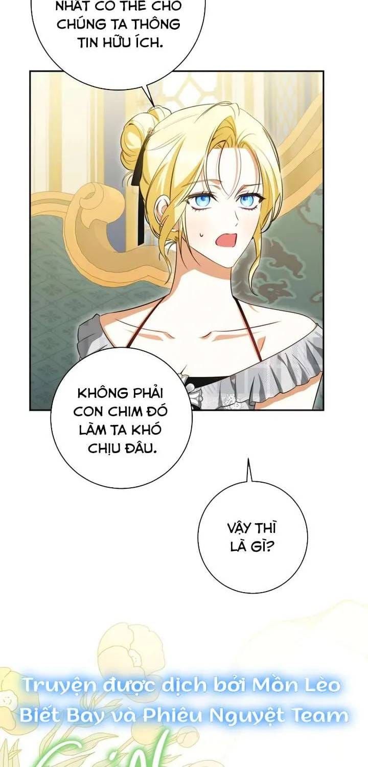 Hình Như Tôi Đã Xuyên Vào Cuốn Tiểu Thuyết Nào Đó Chap 81 - Next Chap 80