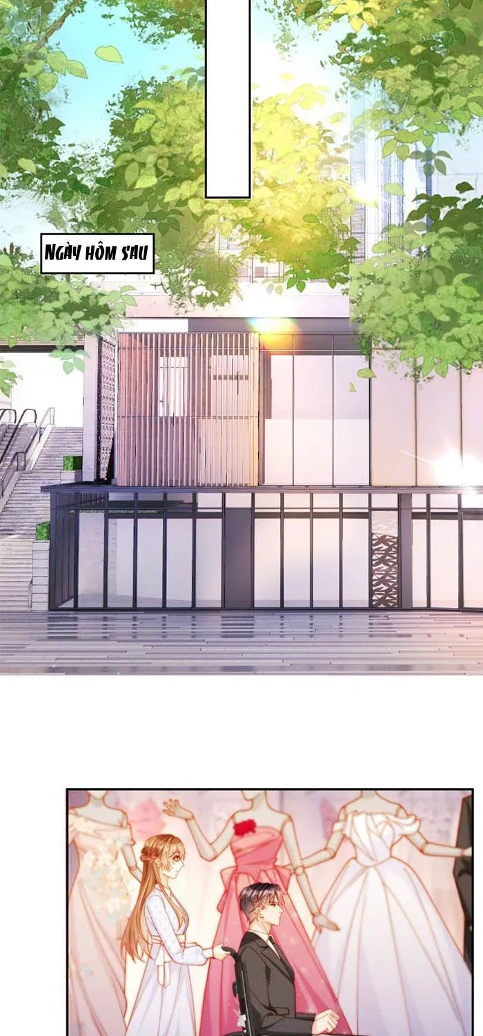 Nụ Hôn Xung Hỉ: Đại Lão Thực Vật Sống Lại Rồi! Chap 32 - Next Chap 31