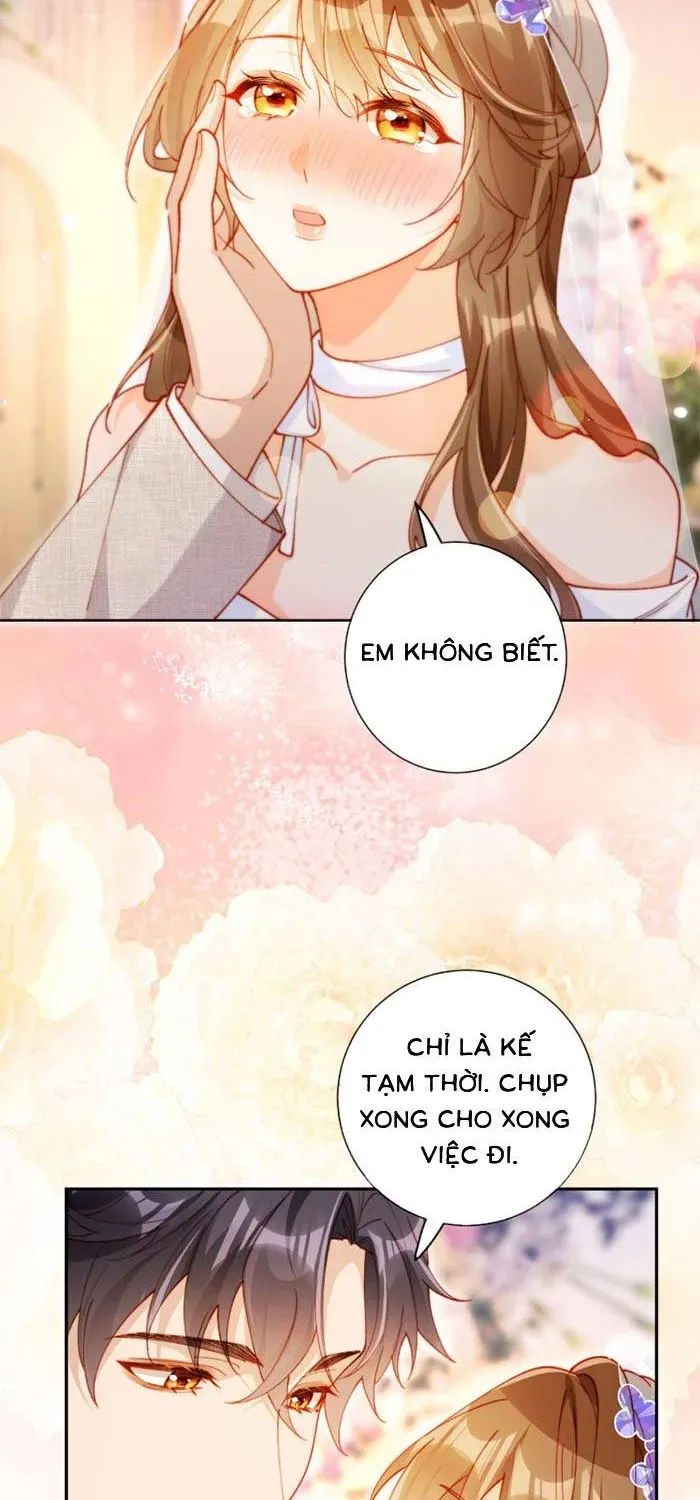 Nụ Hôn Xung Hỉ: Đại Lão Thực Vật Sống Lại Rồi! Chap 33 - Next Chap 32