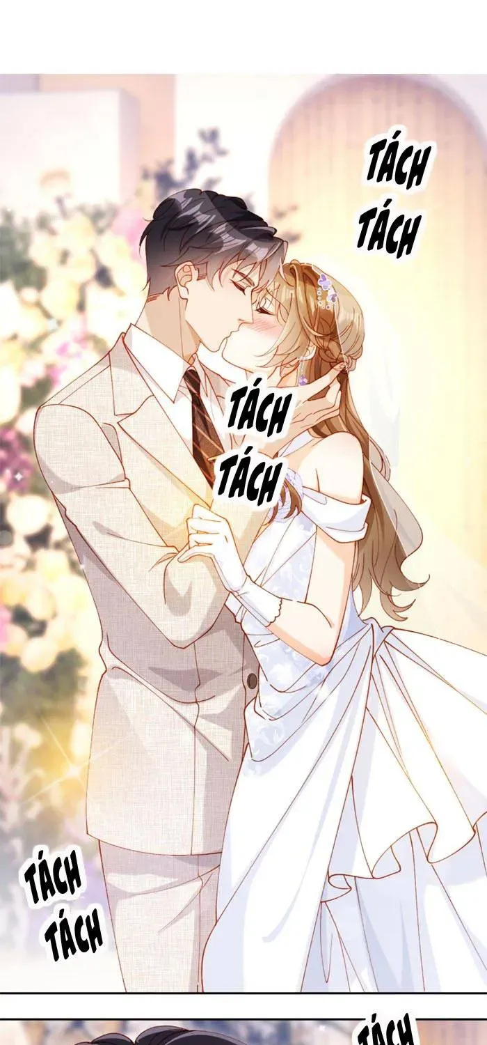 Nụ Hôn Xung Hỉ: Đại Lão Thực Vật Sống Lại Rồi! Chap 33 - Next Chap 32