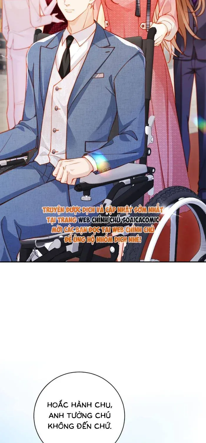 Nụ Hôn Xung Hỉ: Đại Lão Thực Vật Sống Lại Rồi! Chap 34 - Next Chap 33