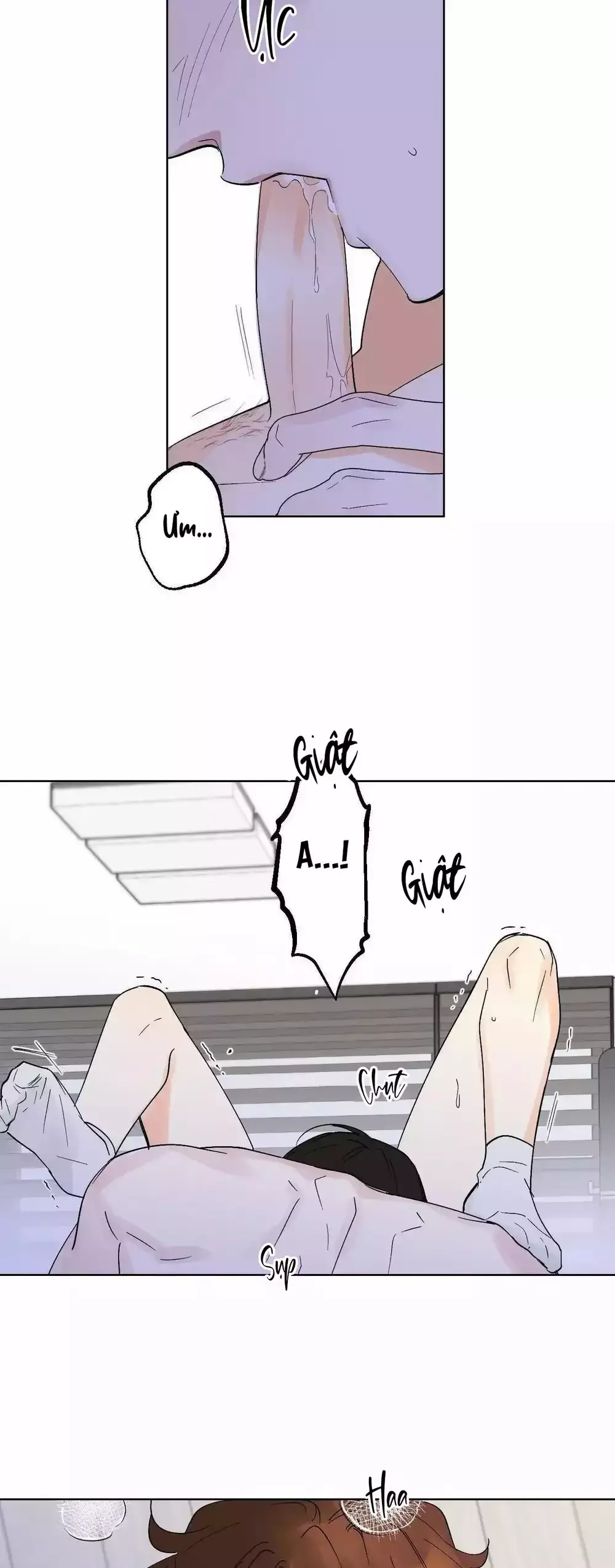 Cộng Sự Bán Thời Gian