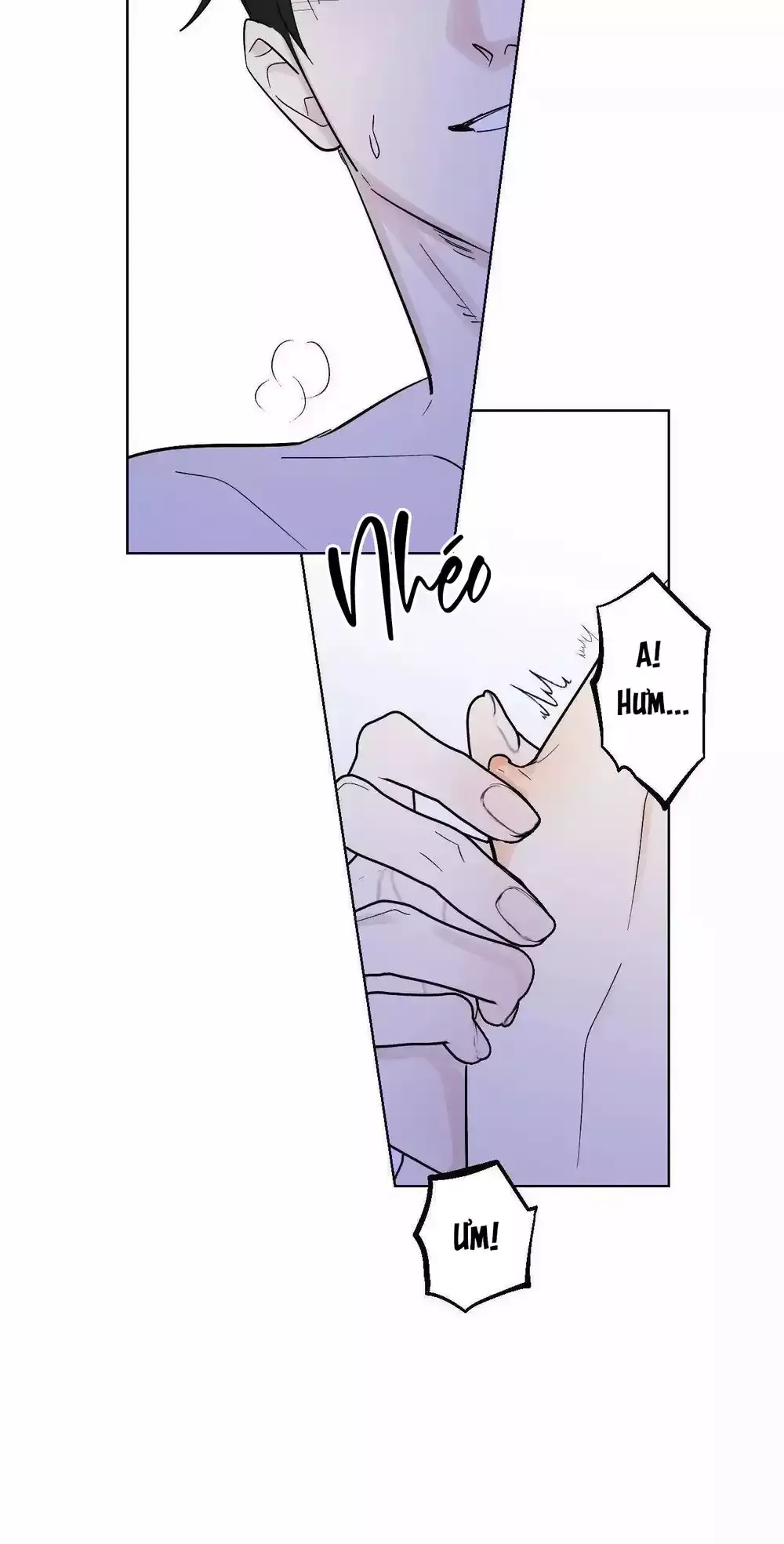 Cộng Sự Bán Thời Gian