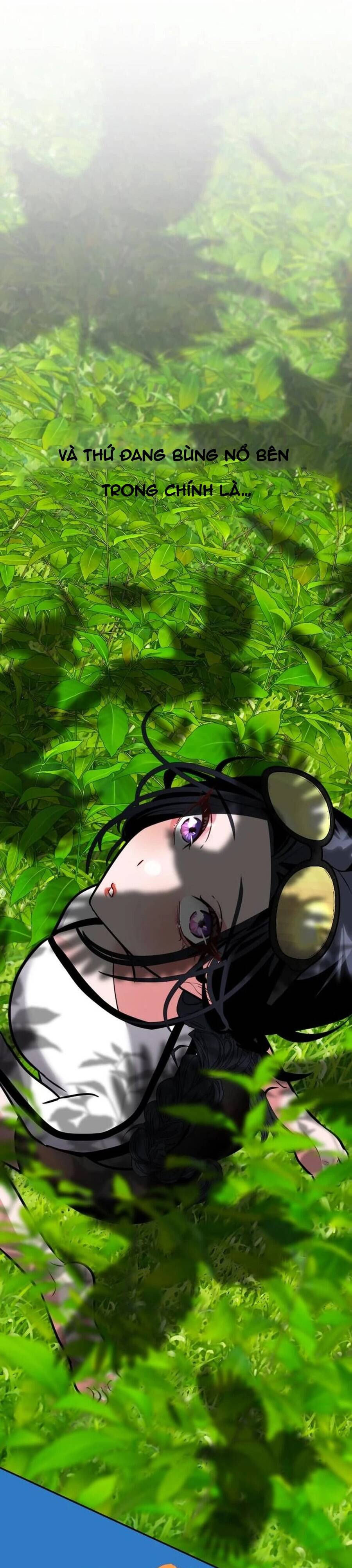 toi-lap-hau-cung-khoi-dau-tu-ban-hang-rong-13