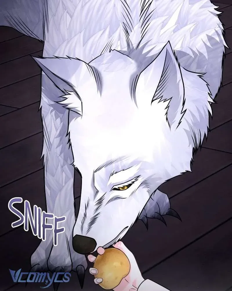 Trước Khi Em Có Ý Định Chạy Trốn Ta Sẽ Ngăn Chặn Nó Chap 49 - Next Chap 48