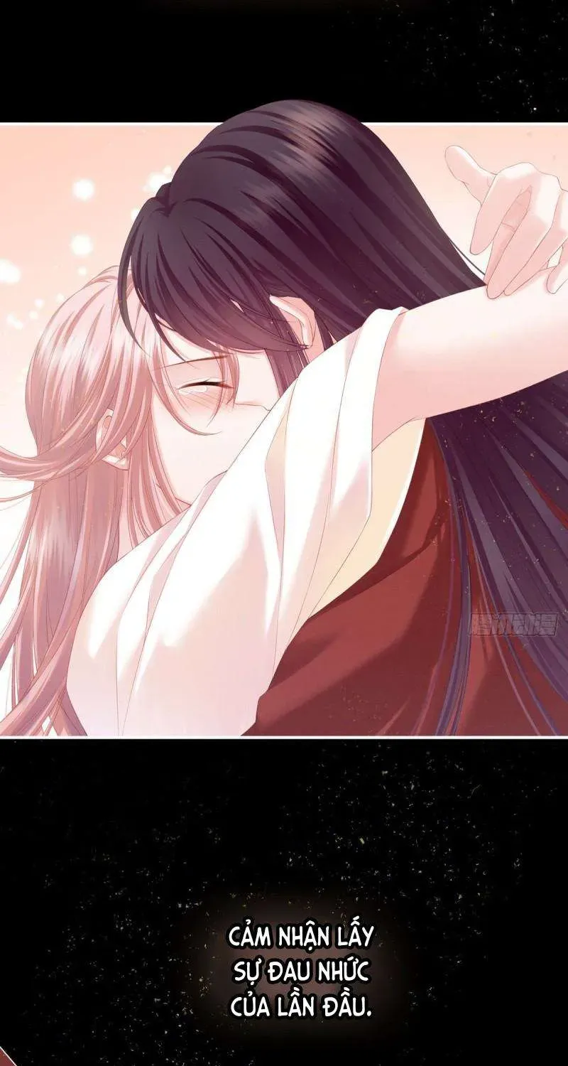 Kiều Phu Có Hỷ Chương 1 - Trang 8