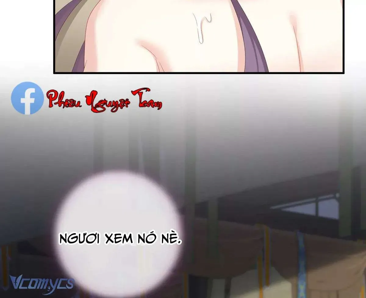 Kiều Phu Có Hỷ Chương 11 - Trang 11