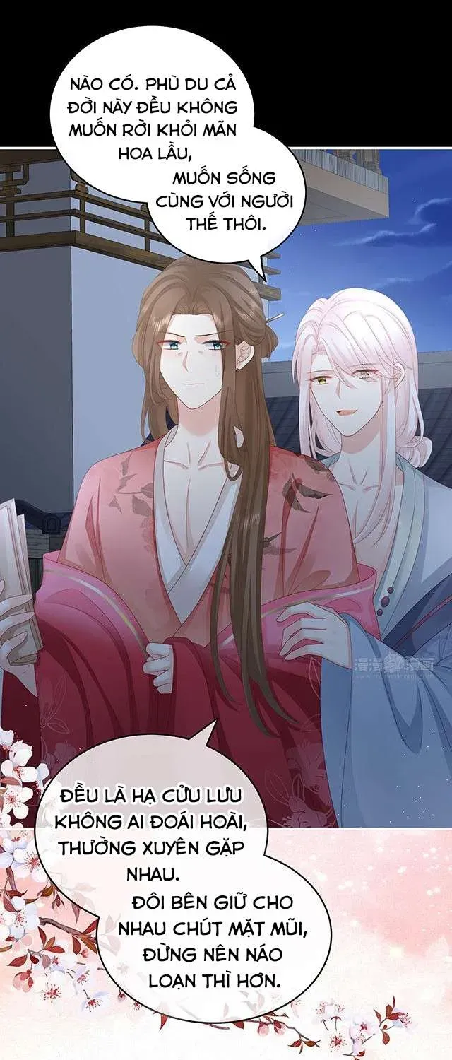 Kiều Phu Có Hỷ Chương 33 - Trang 15